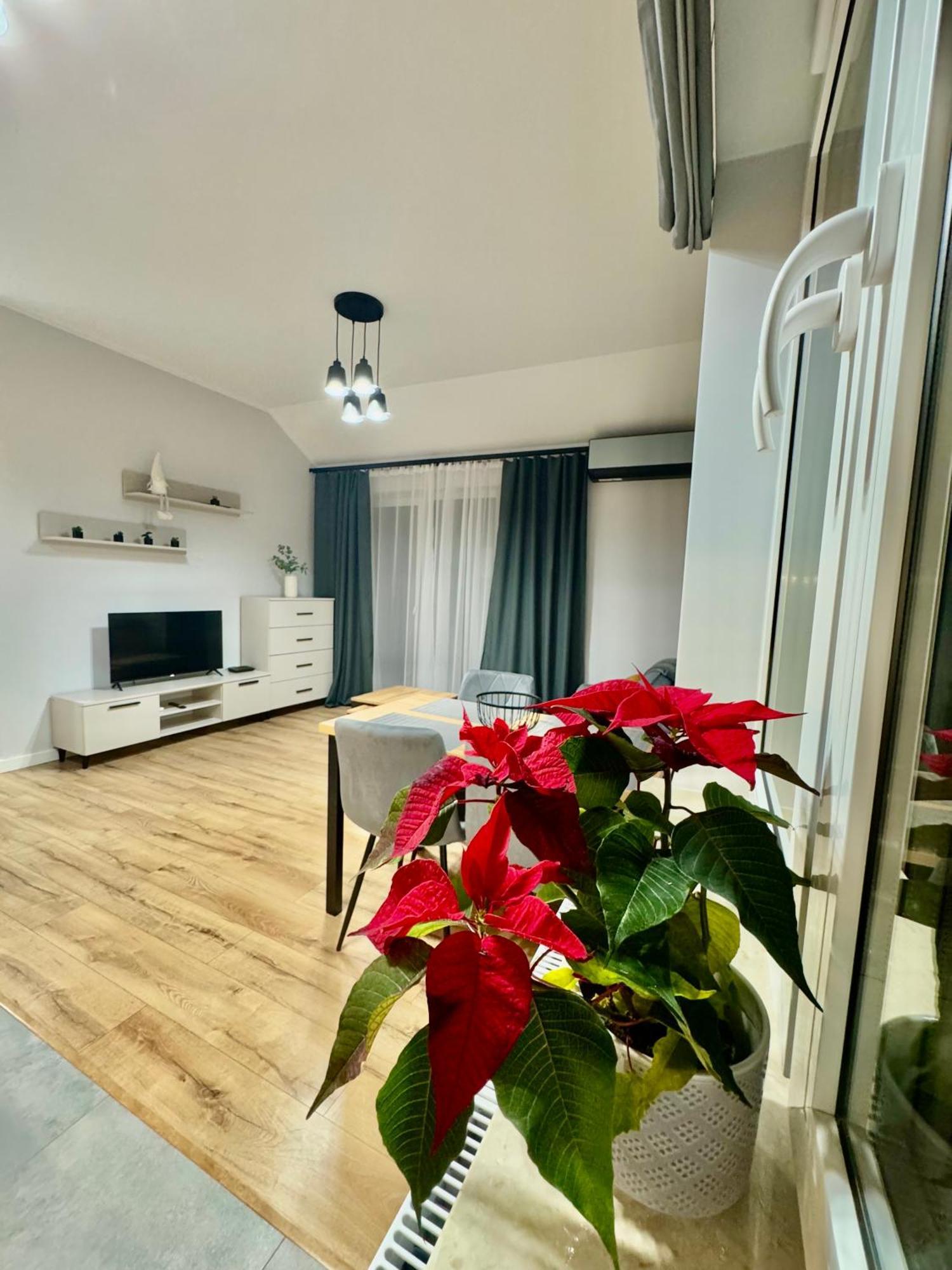 Apartament Olenka Busko-Zdrój Zewnętrze zdjęcie